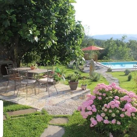 Villa Mavrici, Neighbors Free Buzet Eksteriør billede