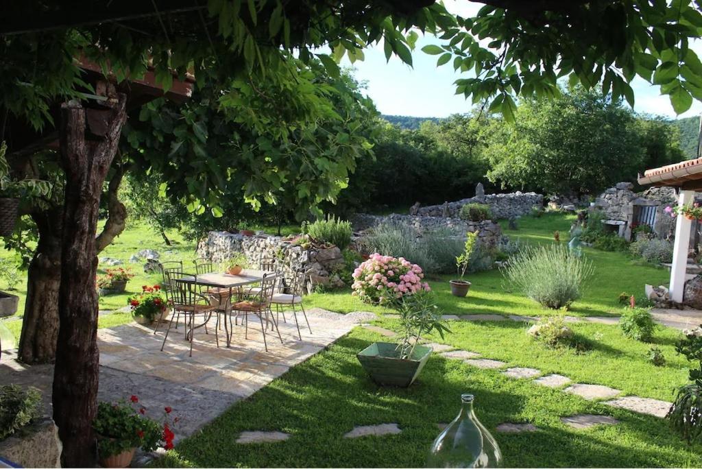 Villa Mavrici, Neighbors Free Buzet Eksteriør billede