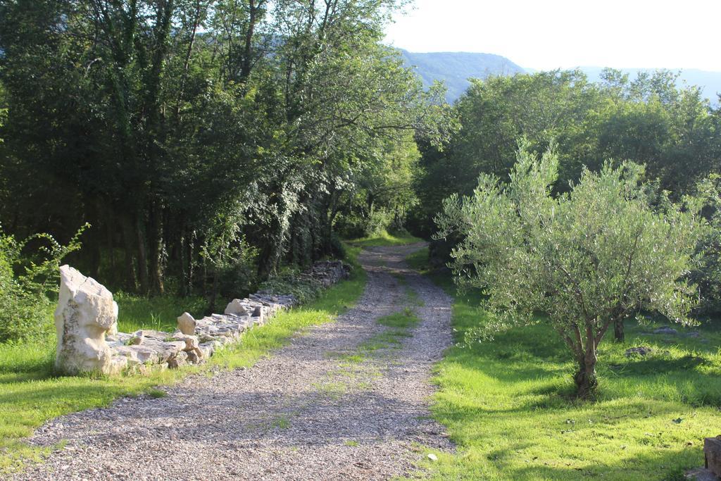 Villa Mavrici, Neighbors Free Buzet Eksteriør billede