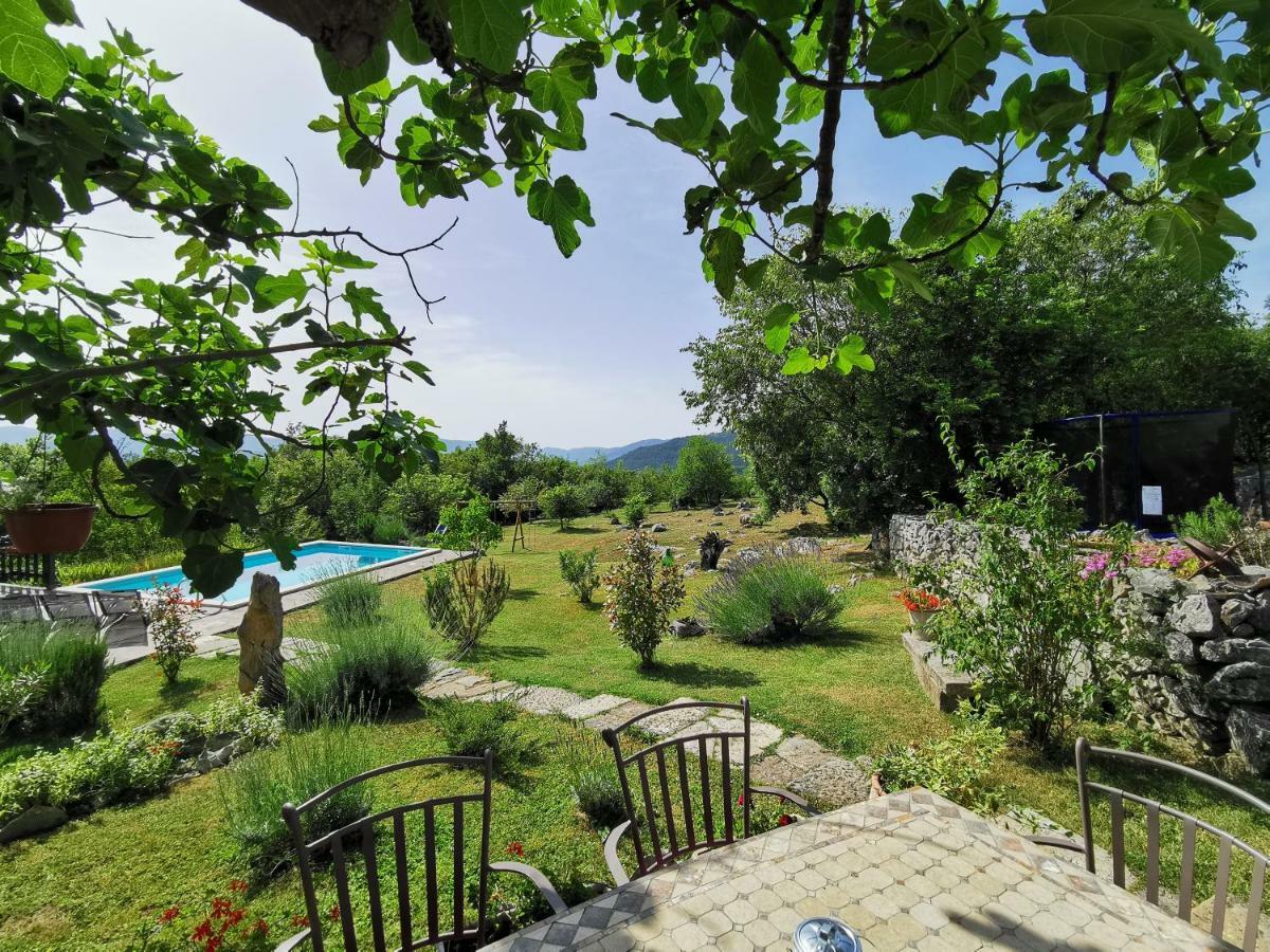 Villa Mavrici, Neighbors Free Buzet Eksteriør billede