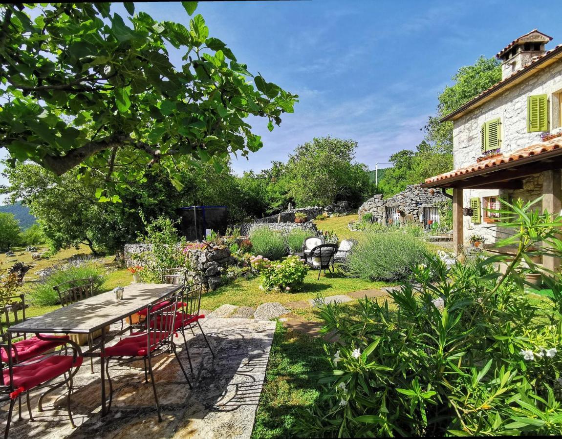 Villa Mavrici, Neighbors Free Buzet Eksteriør billede